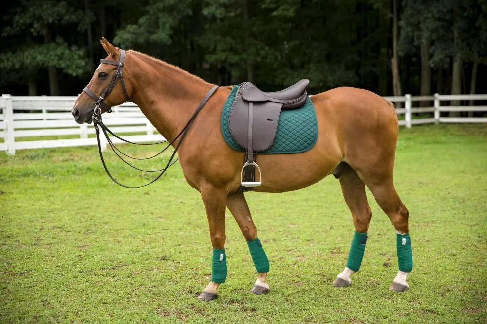 Henri de Rivel Jaipur polozadel leer Havana grip