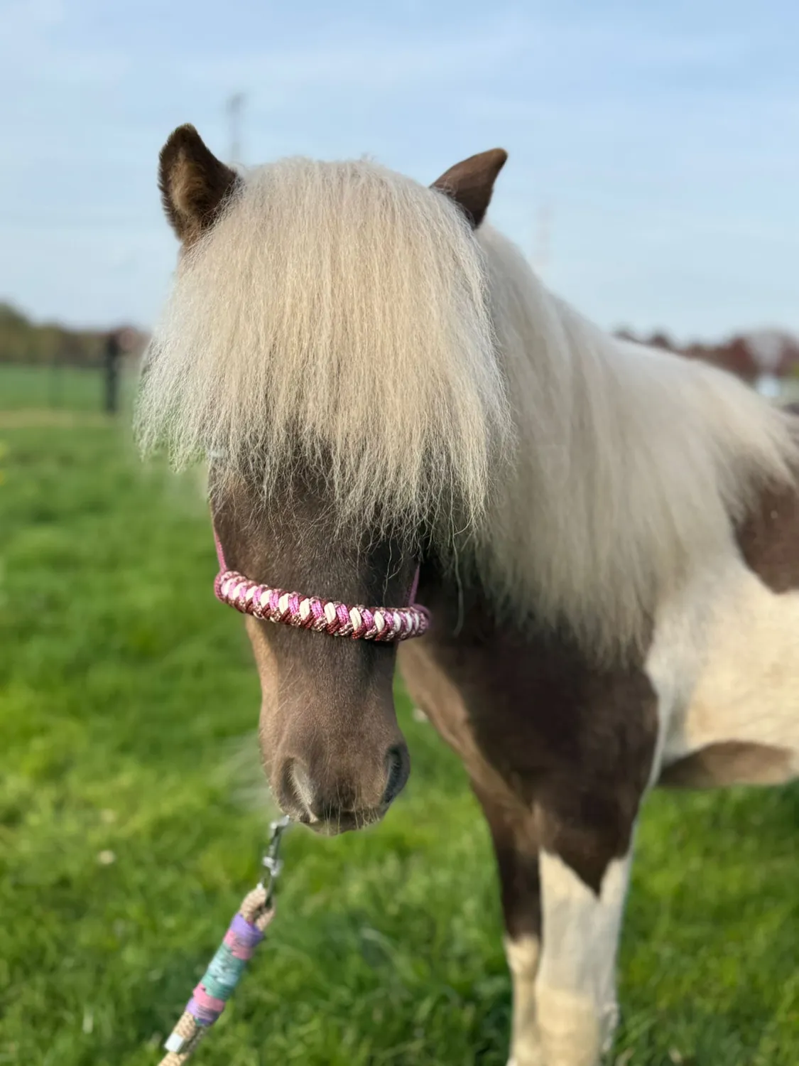 Mushabu Simphony touwhalster fishtail gevlochten