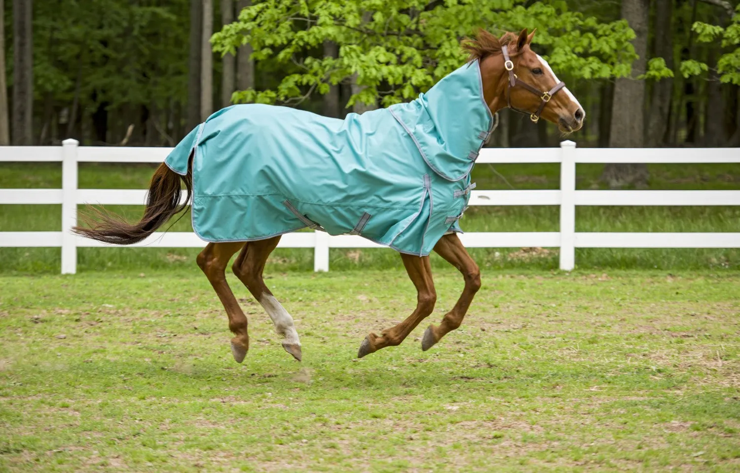 TuffRider Comfy 1200D buitendeken met hals