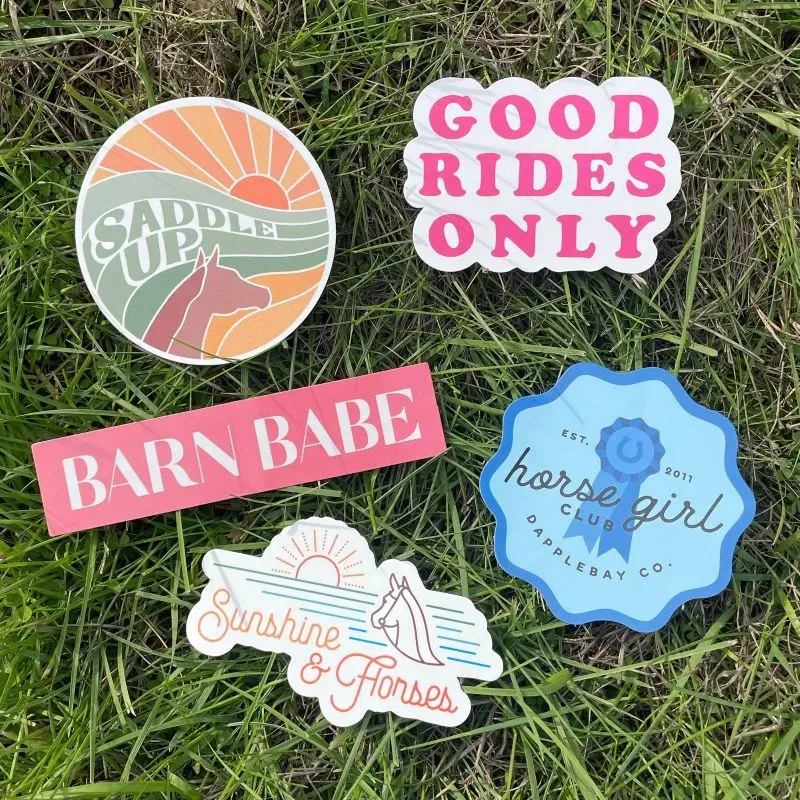 Dapplebay Classic stickerpack vinyl multi bestsellers
